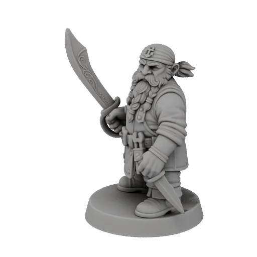 Dwarf pirate